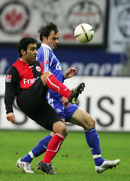 现出高效的 现出高效的